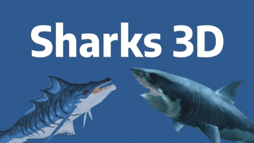 Sharks 3D